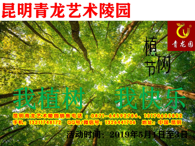 2019年5月1日昆明青龙艺术陵园我植树我快乐活动